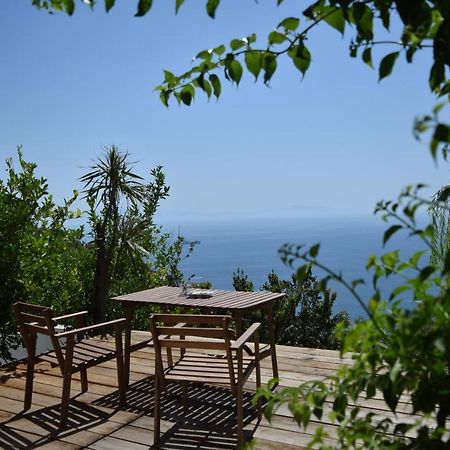 Casa Flora Bed & Breakfast Vietri Dış mekan fotoğraf