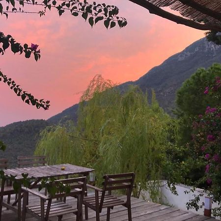 Casa Flora Bed & Breakfast Vietri Dış mekan fotoğraf