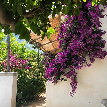 Casa Flora Bed & Breakfast Vietri Dış mekan fotoğraf