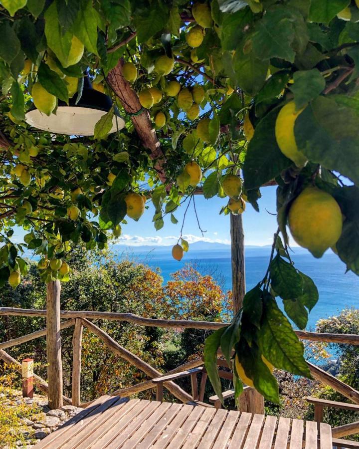 Casa Flora Bed & Breakfast Vietri Dış mekan fotoğraf