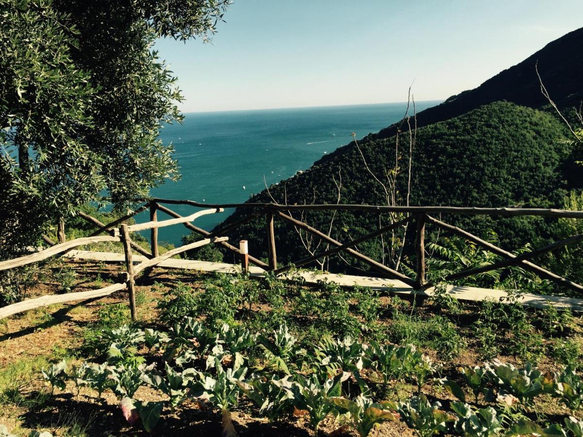 Casa Flora Bed & Breakfast Vietri Dış mekan fotoğraf