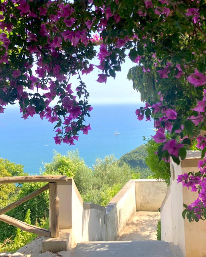 Casa Flora Bed & Breakfast Vietri Dış mekan fotoğraf