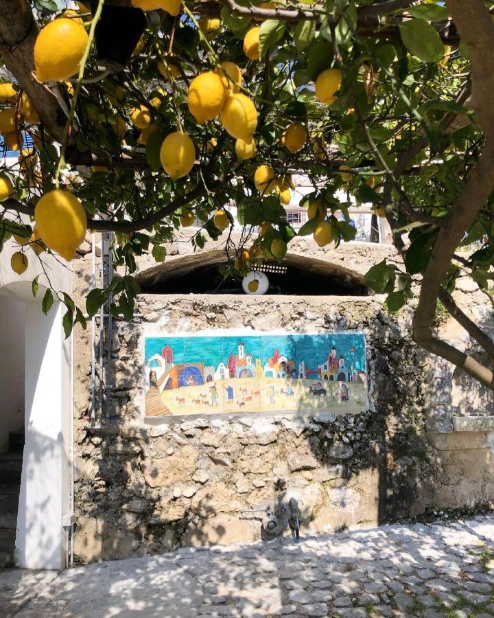Casa Flora Bed & Breakfast Vietri Dış mekan fotoğraf