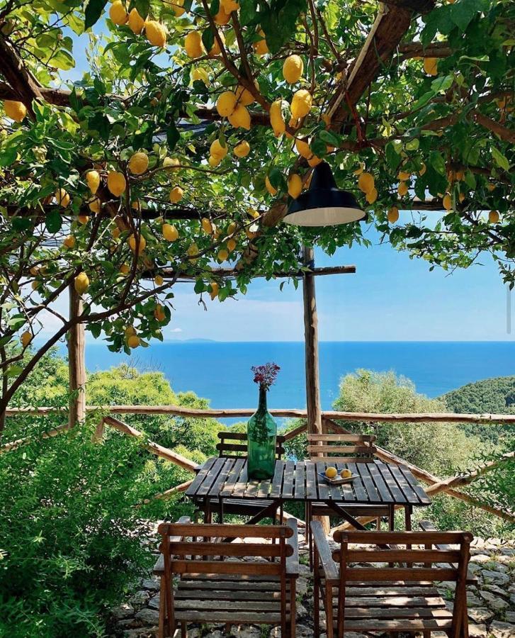 Casa Flora Bed & Breakfast Vietri Dış mekan fotoğraf