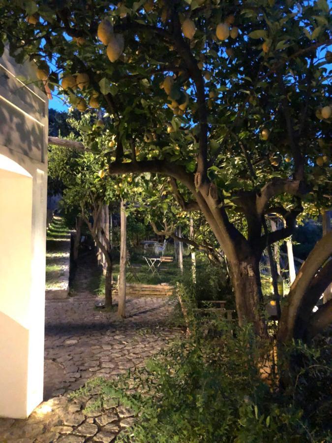 Casa Flora Bed & Breakfast Vietri Dış mekan fotoğraf