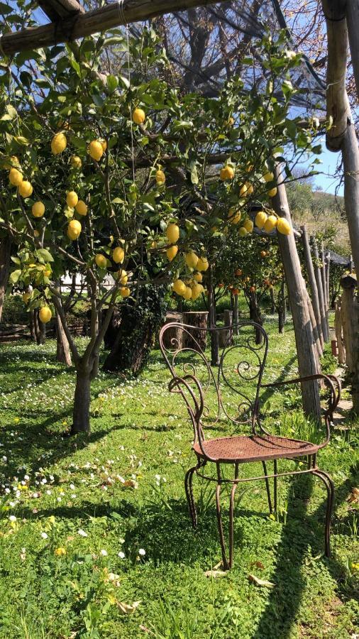 Casa Flora Bed & Breakfast Vietri Dış mekan fotoğraf