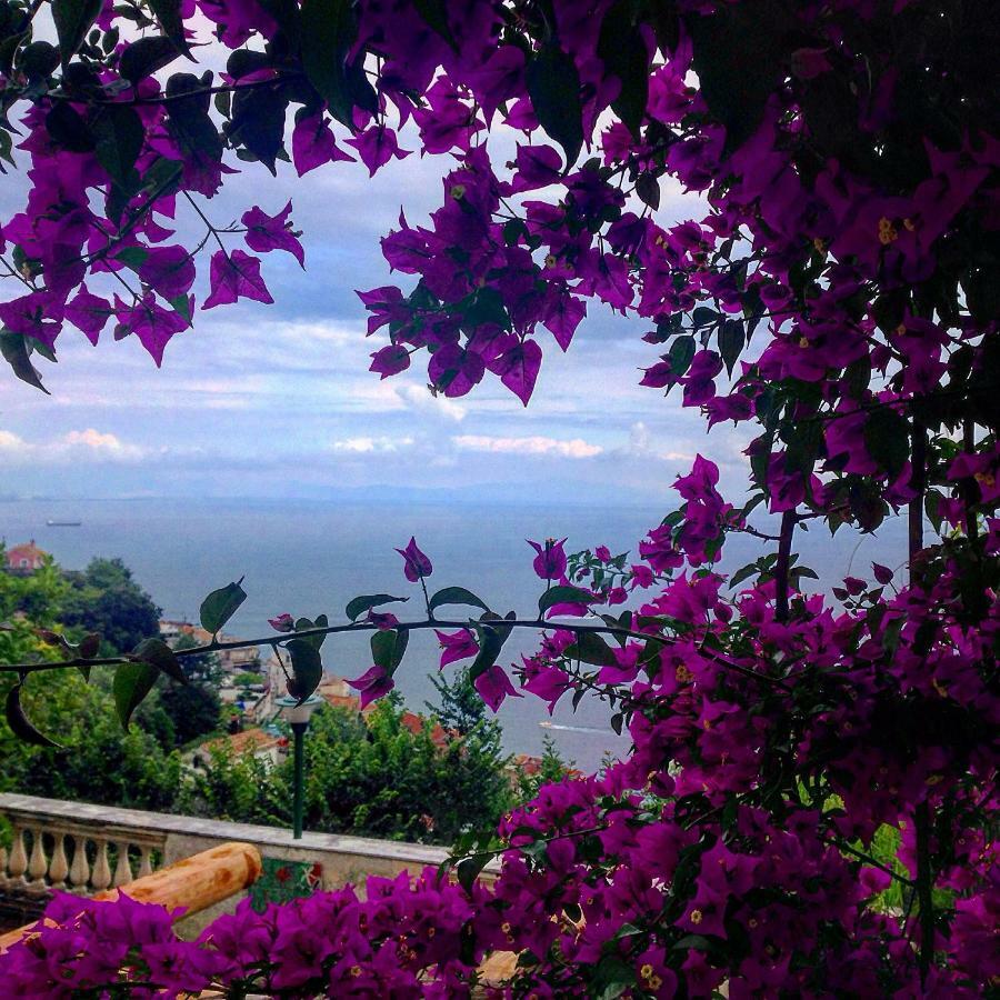 Casa Flora Bed & Breakfast Vietri Dış mekan fotoğraf