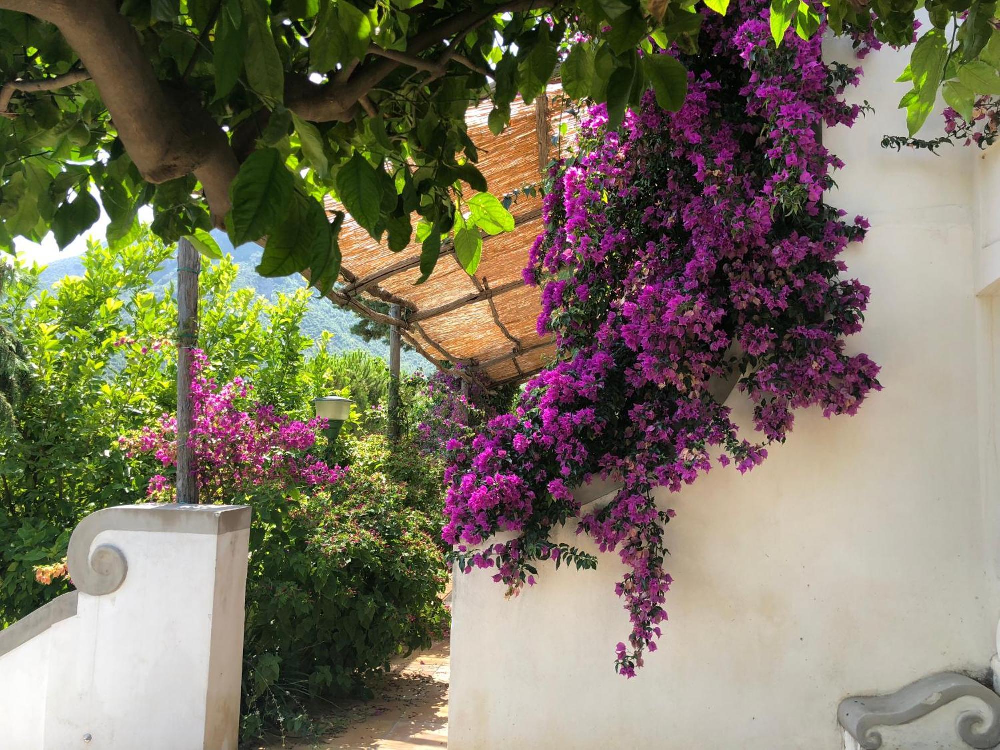 Casa Flora Bed & Breakfast Vietri Dış mekan fotoğraf