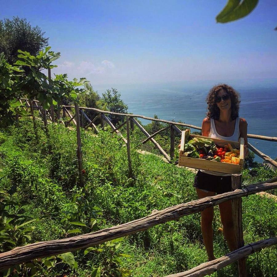 Casa Flora Bed & Breakfast Vietri Dış mekan fotoğraf