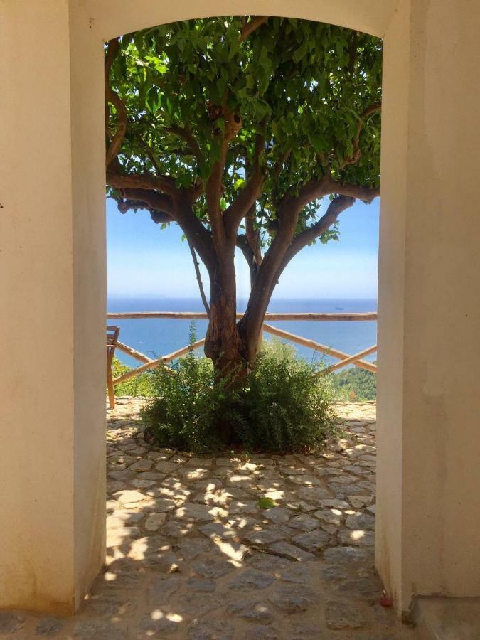 Casa Flora Bed & Breakfast Vietri Dış mekan fotoğraf