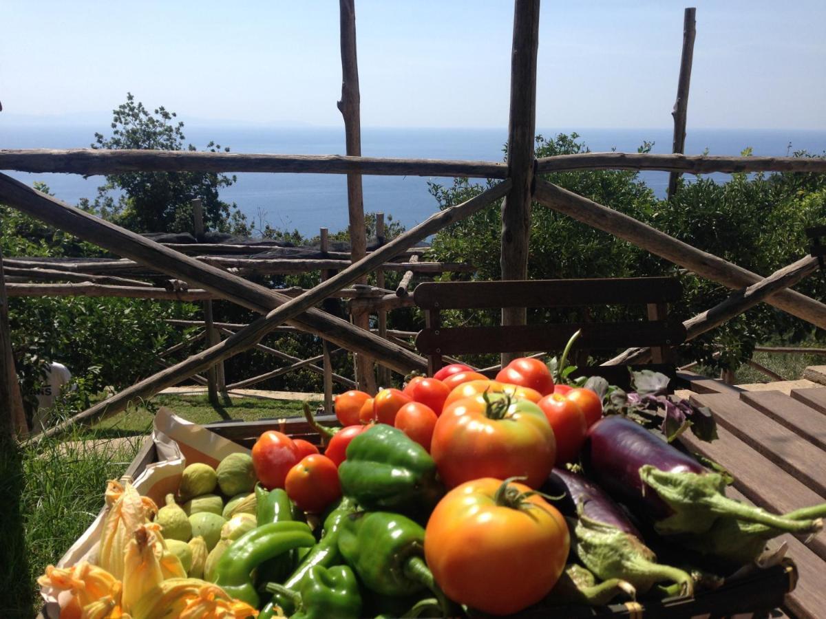Casa Flora Bed & Breakfast Vietri Dış mekan fotoğraf